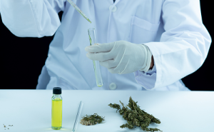 Cannabis in Medicine: A Debate Worth Having